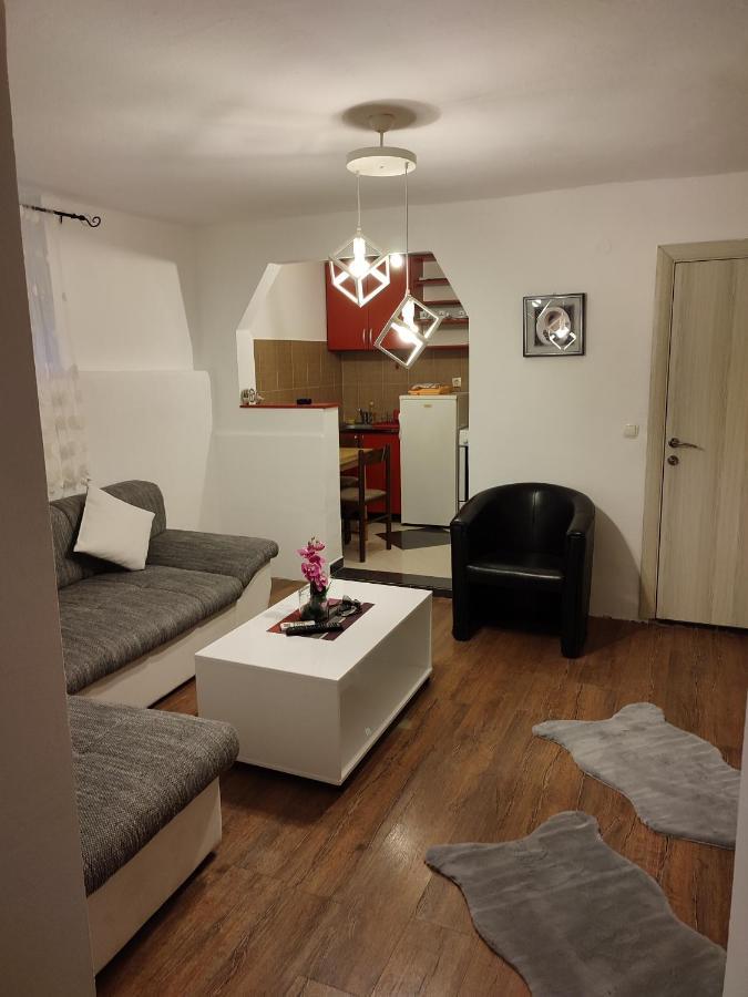 V&J Apartments Podgorica Bagian luar foto